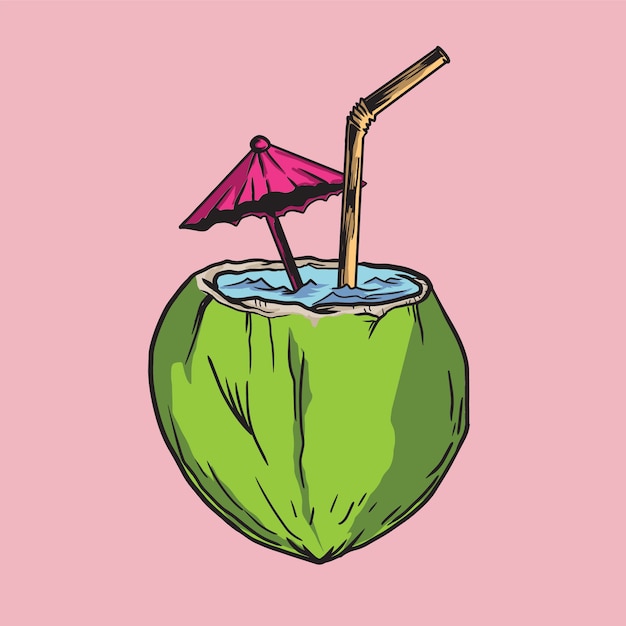 Coconut illustration