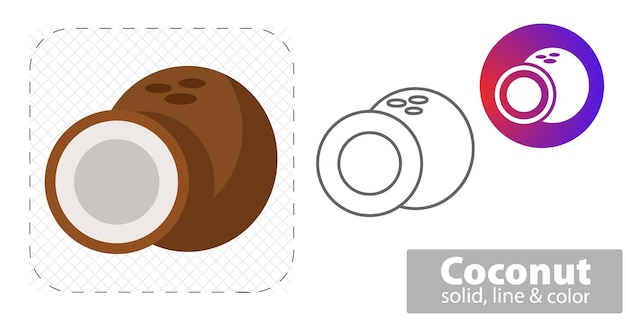 Coconut isolated flat illustration coconut line icon