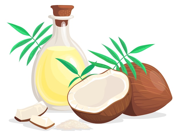 Coconut oil bottle and half nut cartoon icon