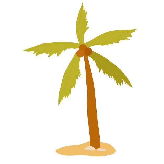 Coconut palm tree exotic summer sea beach plant growing in sand paradise seaside nature