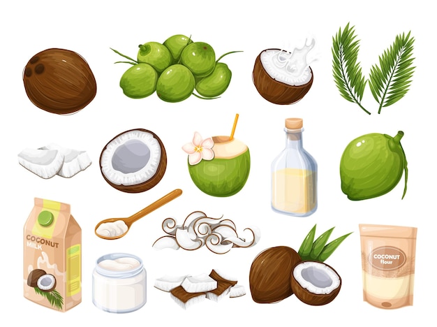 Coconut products