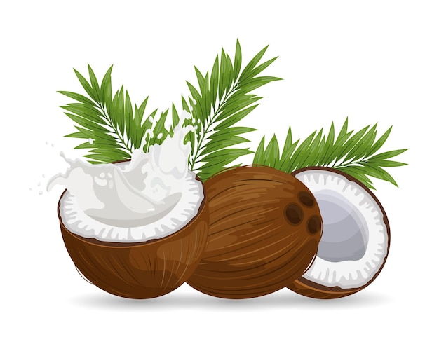 Coconut and sliced coconut with a splash of milk on a white background with palm leaves