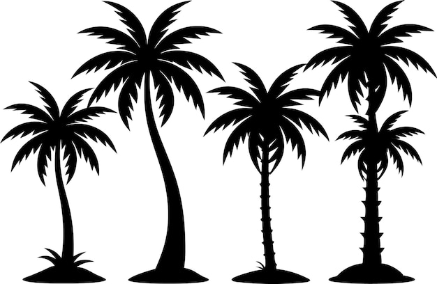 Coconut tree silhouette vector black and white