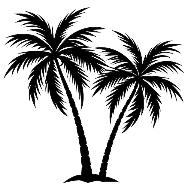 Vector coconut tree silhouette vector