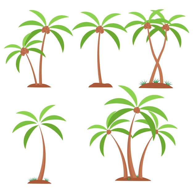 Coconut Tree Vector Coconut Tree Illustrations Coconut Tree clip art Coconut Plant Palm Tree