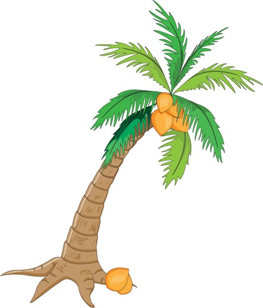 Coconut tree vector illustration