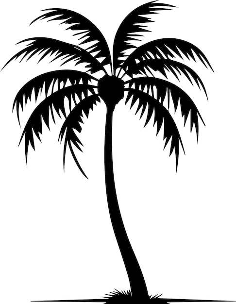 Coconut tree vector silhouette illustration 2