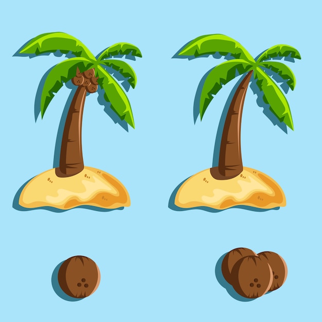 Coconut tree