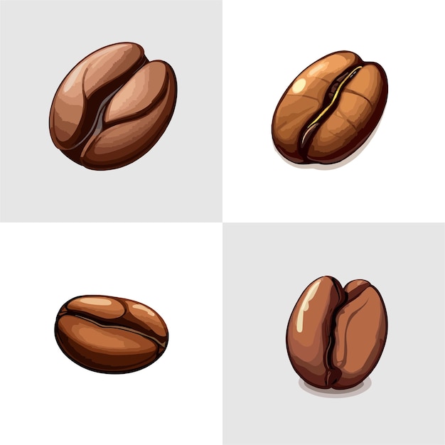 Coffee bean vector 1