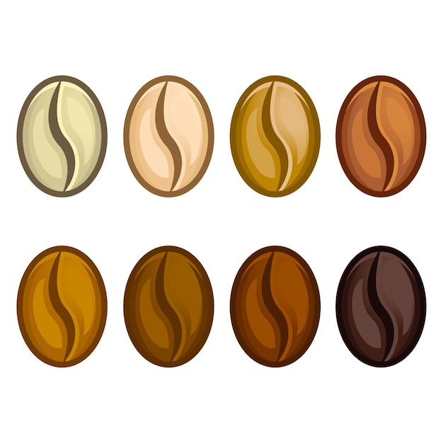 Coffee beans realistic set showing various stages of roasting isolated on white background vector illustration