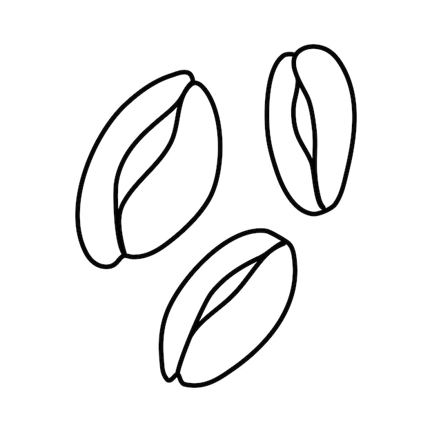 Coffee beans Vector doodle drawing