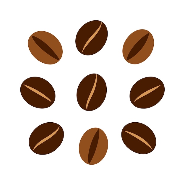 coffee beans vector illustration