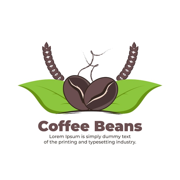 coffee beans vector