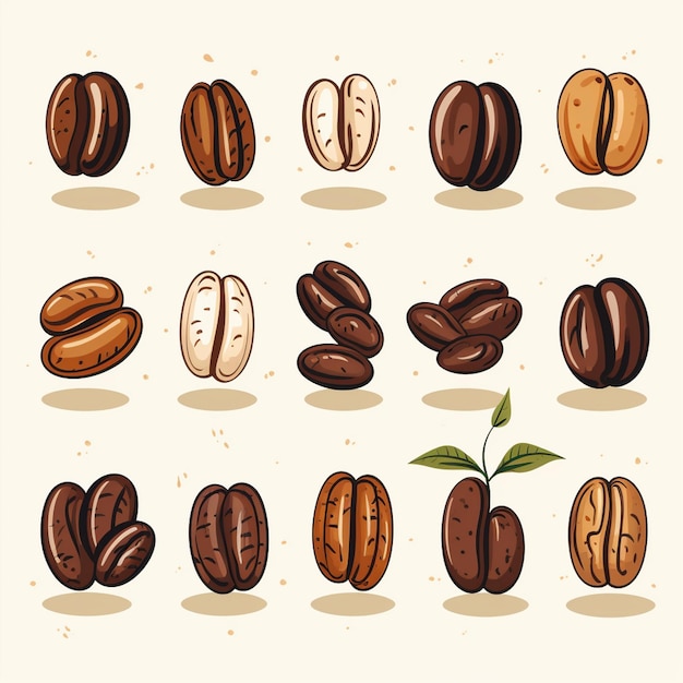 coffee drink bean seed isolated food espresso caffeine illustration ingredient roasted ve