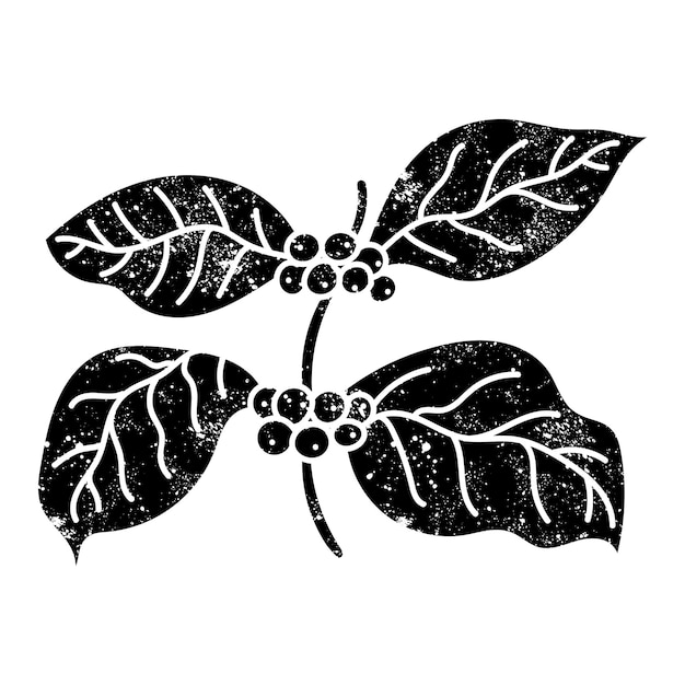 Coffee plant black hand drawn icon in grunge look