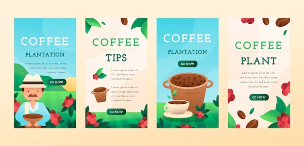 Coffee plantation gradient instagram stories