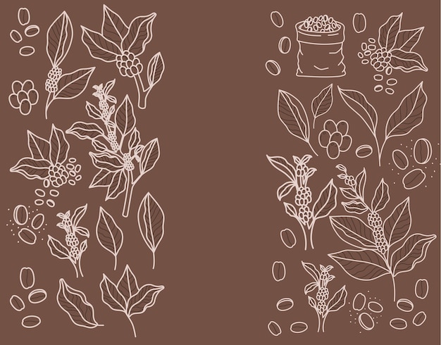 Coffee plants illustration