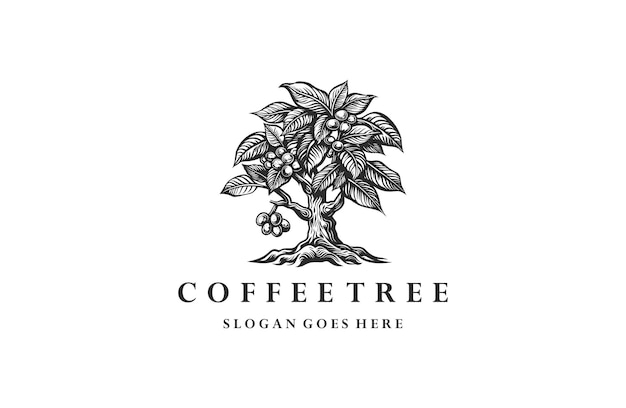 Coffee tree logo engraving style vector illustrations on white background