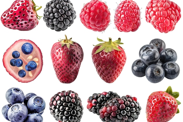 Vector collage of sweet berries mix close up on white backgoundsstrawberry blackberry mullberrycherry