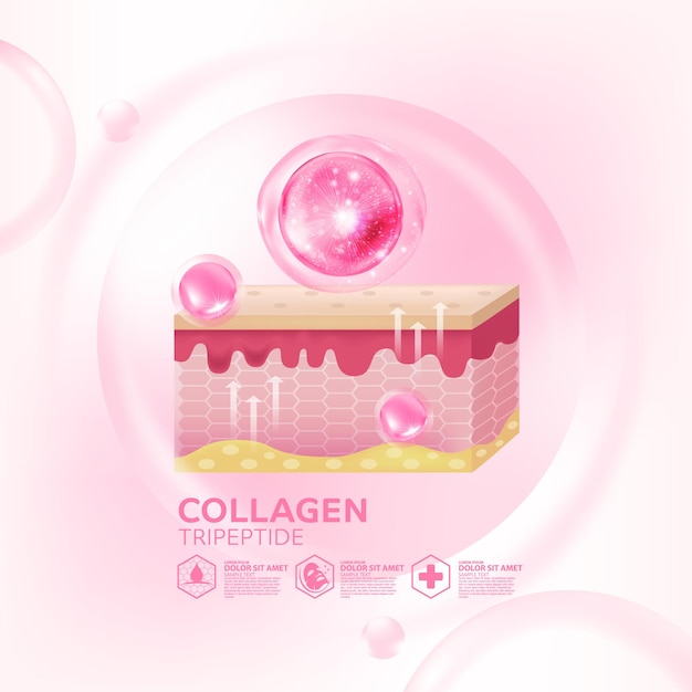 Collagen tripeptide Serum Skin Care Cosmetic