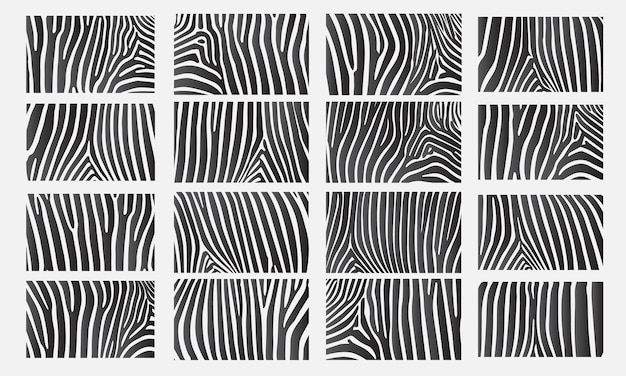 Collection of 16 vector skin zebra texture