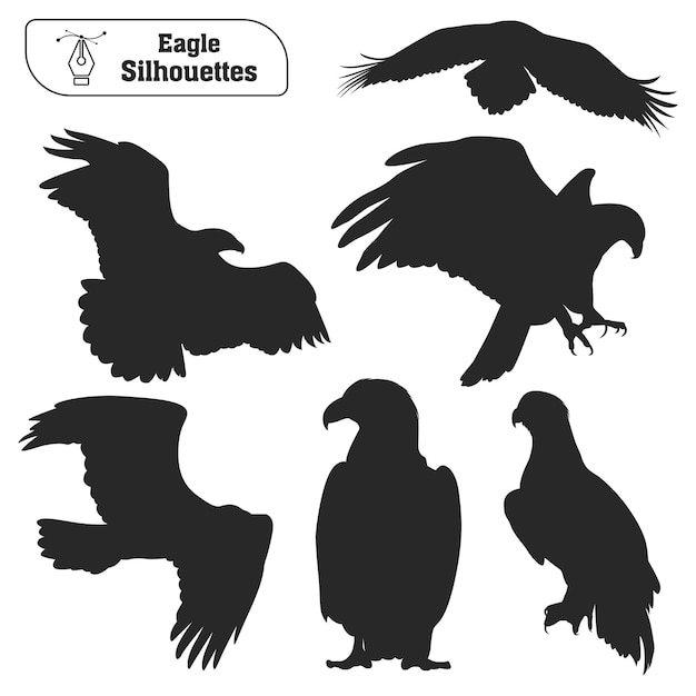 Collection of Animal bird Eagle silhouette in different poses