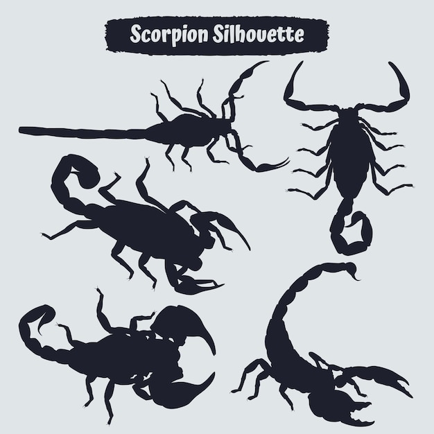 Collection of animal scorpion silhouette vector