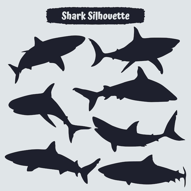 Collection of animal Shark Silhouette in different poses