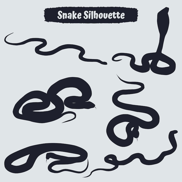 Collection of Animal Snake silhouettes in different poses