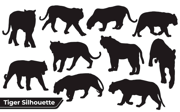 Collection of Animal Tiger silhouettes in different poses