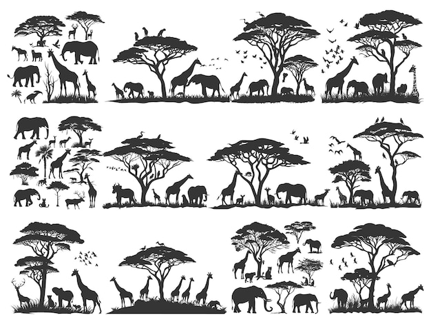 Vector a collection of animals and trees from the book of the book by walter walter