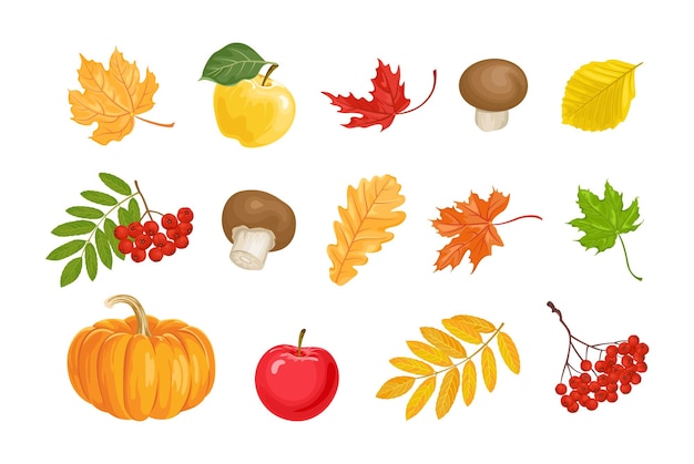 Collection of autumn cartoon  illustrations.