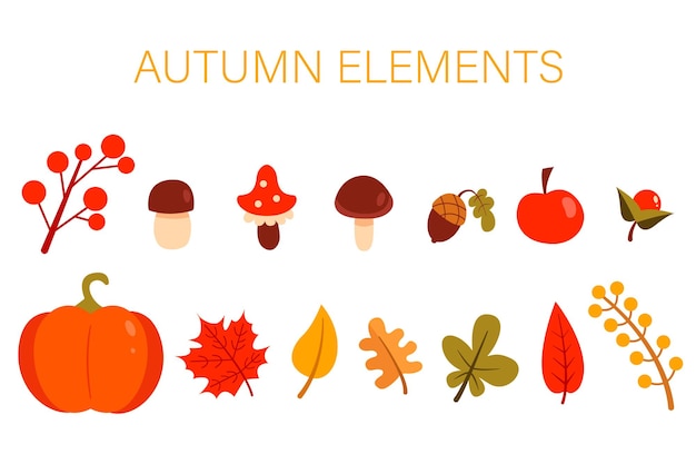 Collection of autumn elements. Vector illustration in a flat style. isolated on a white background.