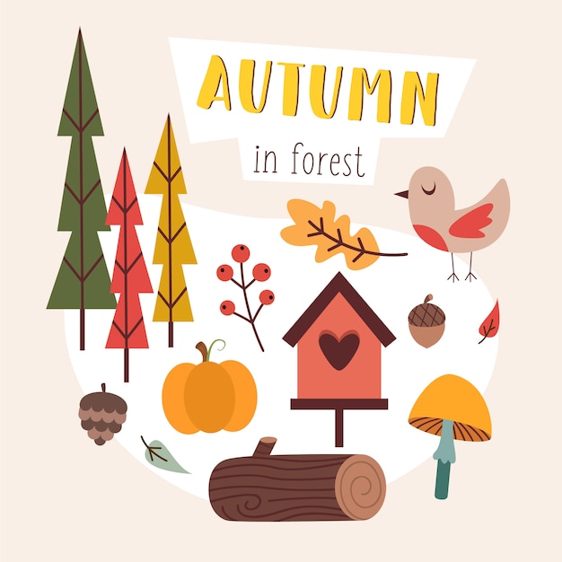 Collection of autumn forest