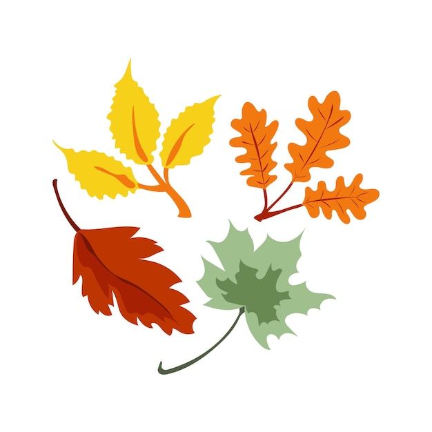 a collection of autumn leaves and a leaf with a green leaf on it