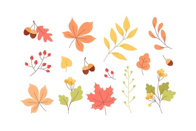 Collection of autumn leaves, twigs and berries in cartoon style