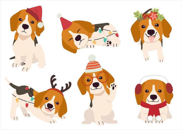 The collection of beagles in many actions for Christmas theme.