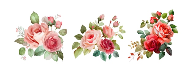 Collection of beautiful rose flowers isolated on white background Spring and summer red pink roses floral branch and leaves Vector illustration