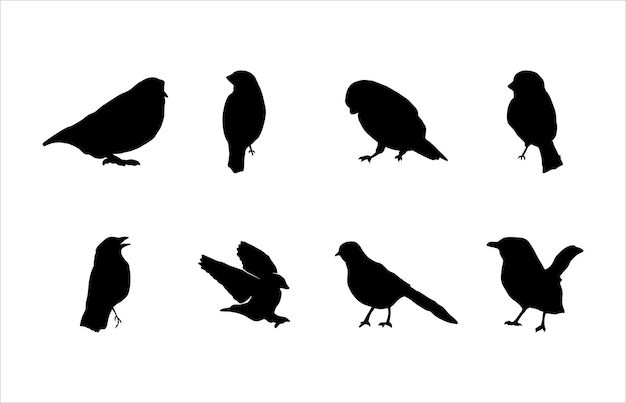 Collection of Bird Animal Silhouette Illustrations on White Background