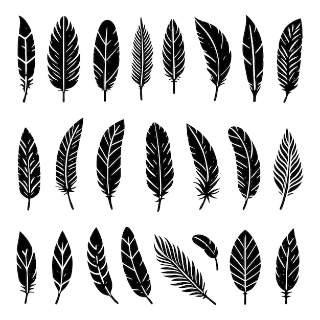 A collection of bird feathers set icon Feather silhouette Vintage pen for calligraphy Plumelet