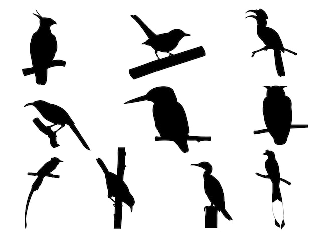 Collection of Bird on tree branch Silhouettes.