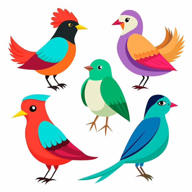 Vector a collection of birds including one with a blue green and red blue are shown