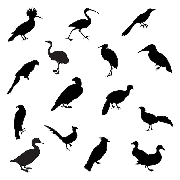 Collection of birds silhouette pro vector