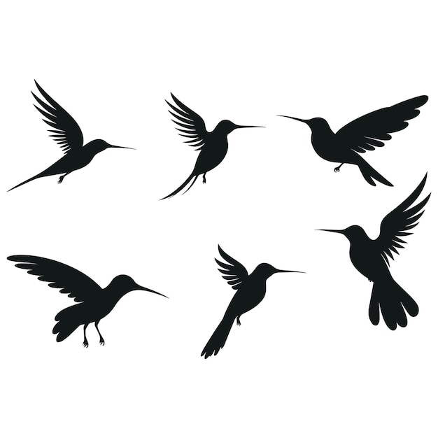 Vector a collection of birds that are black and white