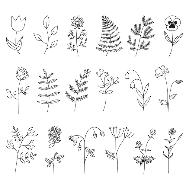 Collection of black hand drawn flowers and wild herbs