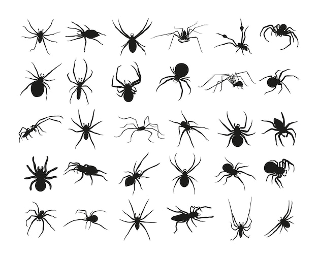 Vector collection of black silhouettes of spiders of different species