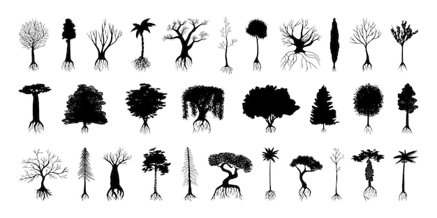 Vector collection of black silhouettes of trees