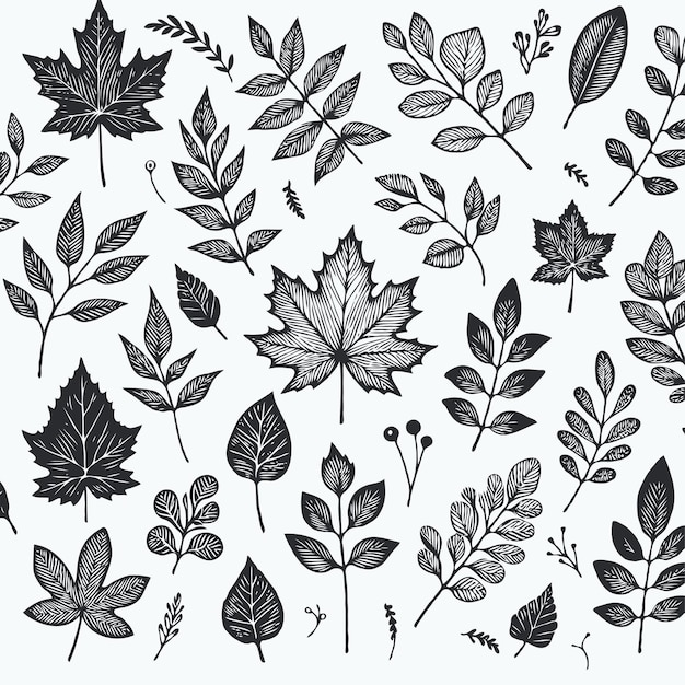 Vector a collection of black and white images of leaves and plants