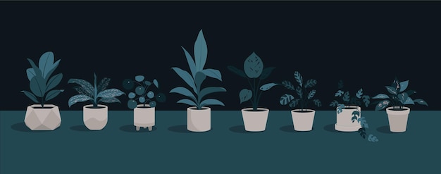 collection of Blue Pot Plants