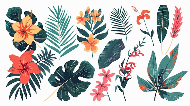 a collection of botanical illustrations by person